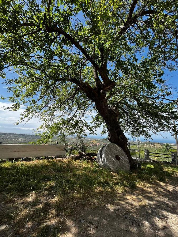 Casa Maria Host Green - Casa Vacanze - Rossano Case San Francesco Экстерьер фото